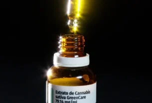 Importação de cannabis medicinal sobe quase 29% no 1º semestre de 2026, diz levantamento