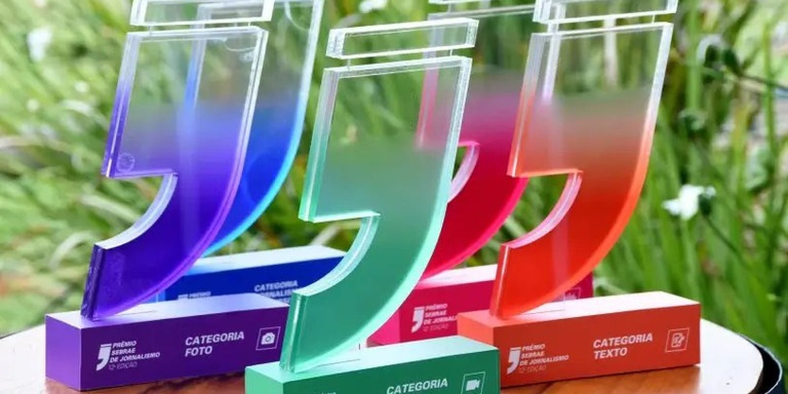 TV Brasil conquista etapa distrital do Prêmio Sebrae de Jornalismo 2026 com reportagem sobre inclusão