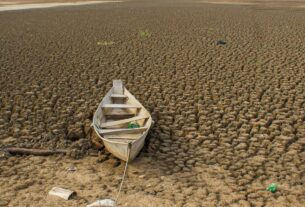 Brasil apresenta metas de neutralidade da degradação da terra e promete restaurar 163 mil km² até 2030