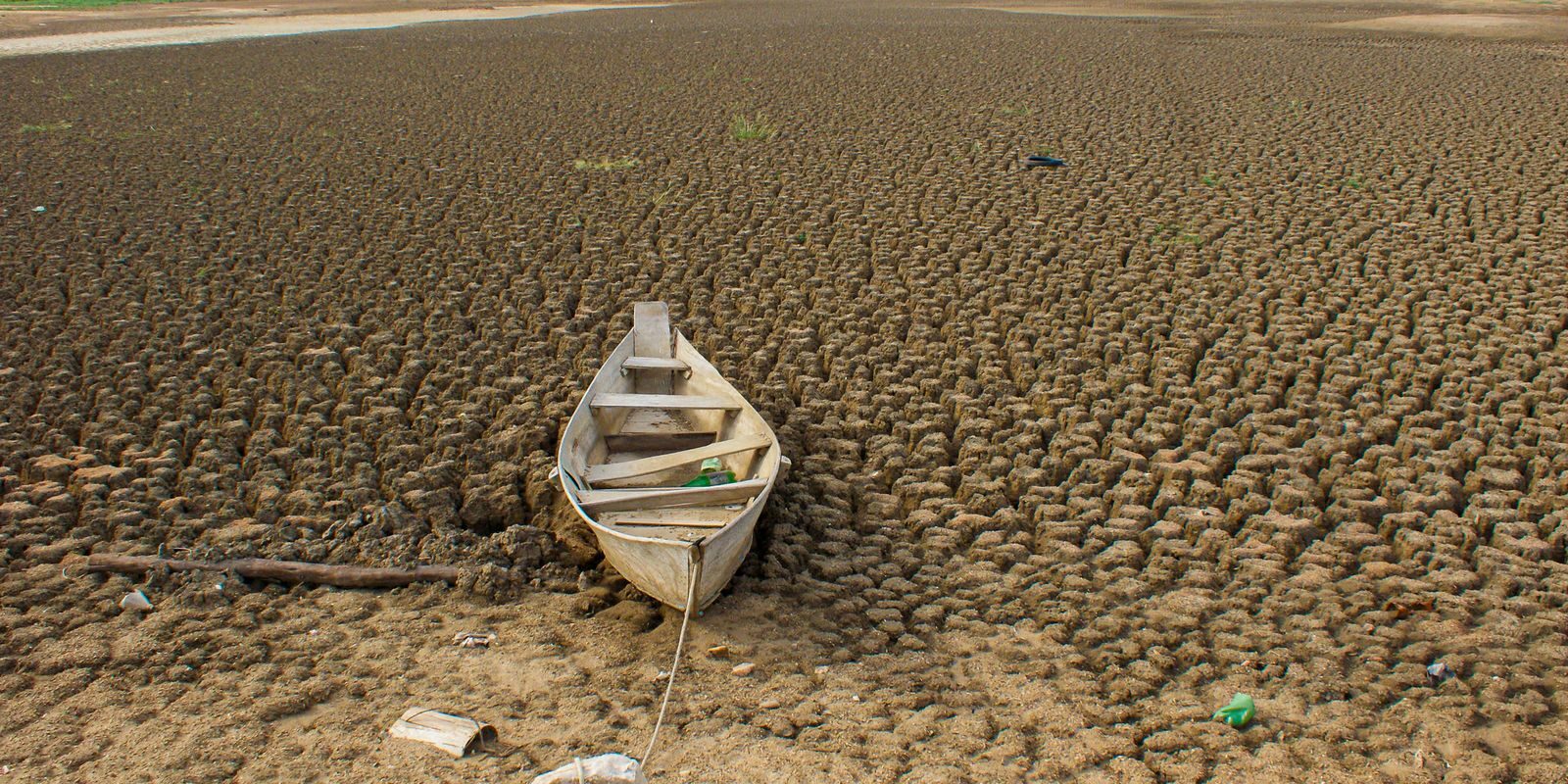 Brasil apresenta metas de neutralidade da degradação da terra e promete restaurar 163 mil km² até 2030