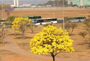 Inmet aponta três alertas no Centro-Oeste: tempestades em MS e baixa umidade em MT, GO e DF