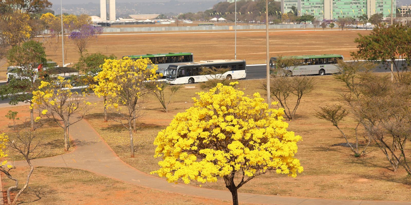 Inmet aponta três alertas no Centro-Oeste: tempestades em MS e baixa umidade em MT, GO e DF