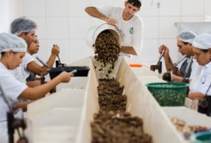 Consulta do MDIC para listar bens sustentáveis com acesso preferencial à UE termina em 2 de setembro