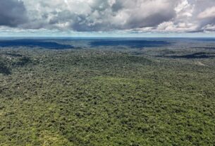 Devastação pode interromper a "máquina de chuva" da Amazônia e comprometer abastecimento na América do Sul