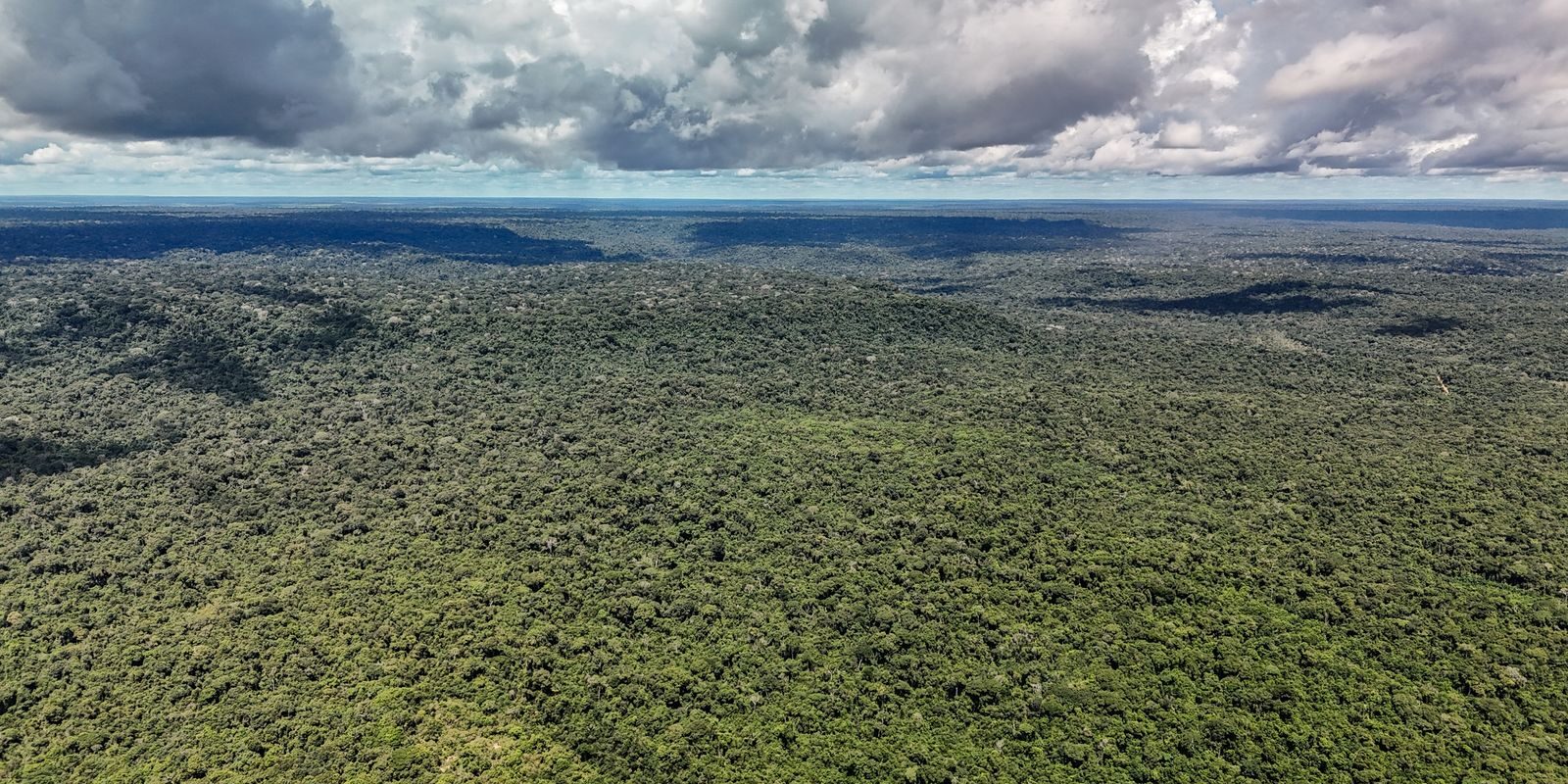 Devastação pode interromper a "máquina de chuva" da Amazônia e comprometer abastecimento na América do Sul