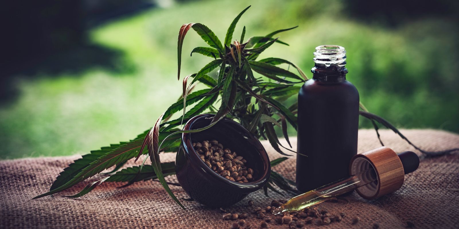 Associações apontam lacunas nas normas sobre cannabis medicinal mesmo após avanços regulatórios