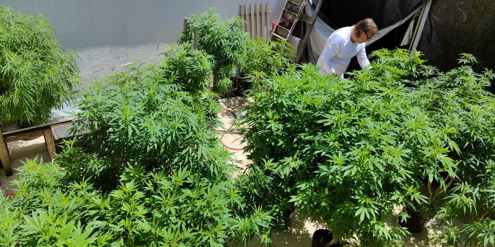 Feira em Fortaleza pede políticas sobre drogas pautadas na saúde e na justiça social