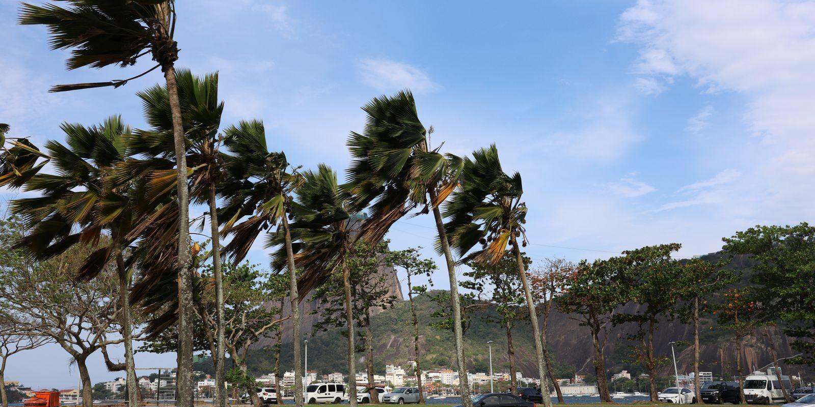 Defesa Civil do Rio emite alerta para ventos fortes e pancadas de chuva entre 22 e 25/09