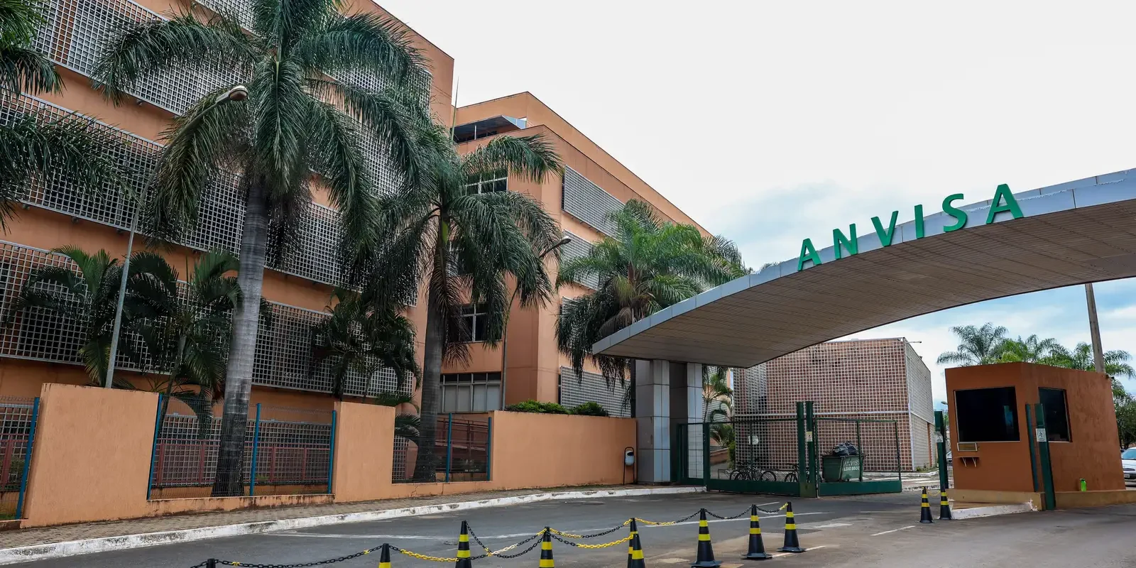 Anvisa alerta para venda irregular de tirzepatida em pó na internet e riscos de contaminação