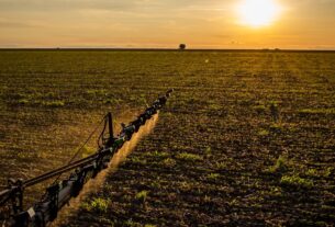 Lei 15.526/2026 amplia cobertura do seguro rural e fortalece proteção ao produtor