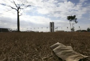 ONU: aquecimento além de 1,5°C ameaça saúde, agricultura e economia