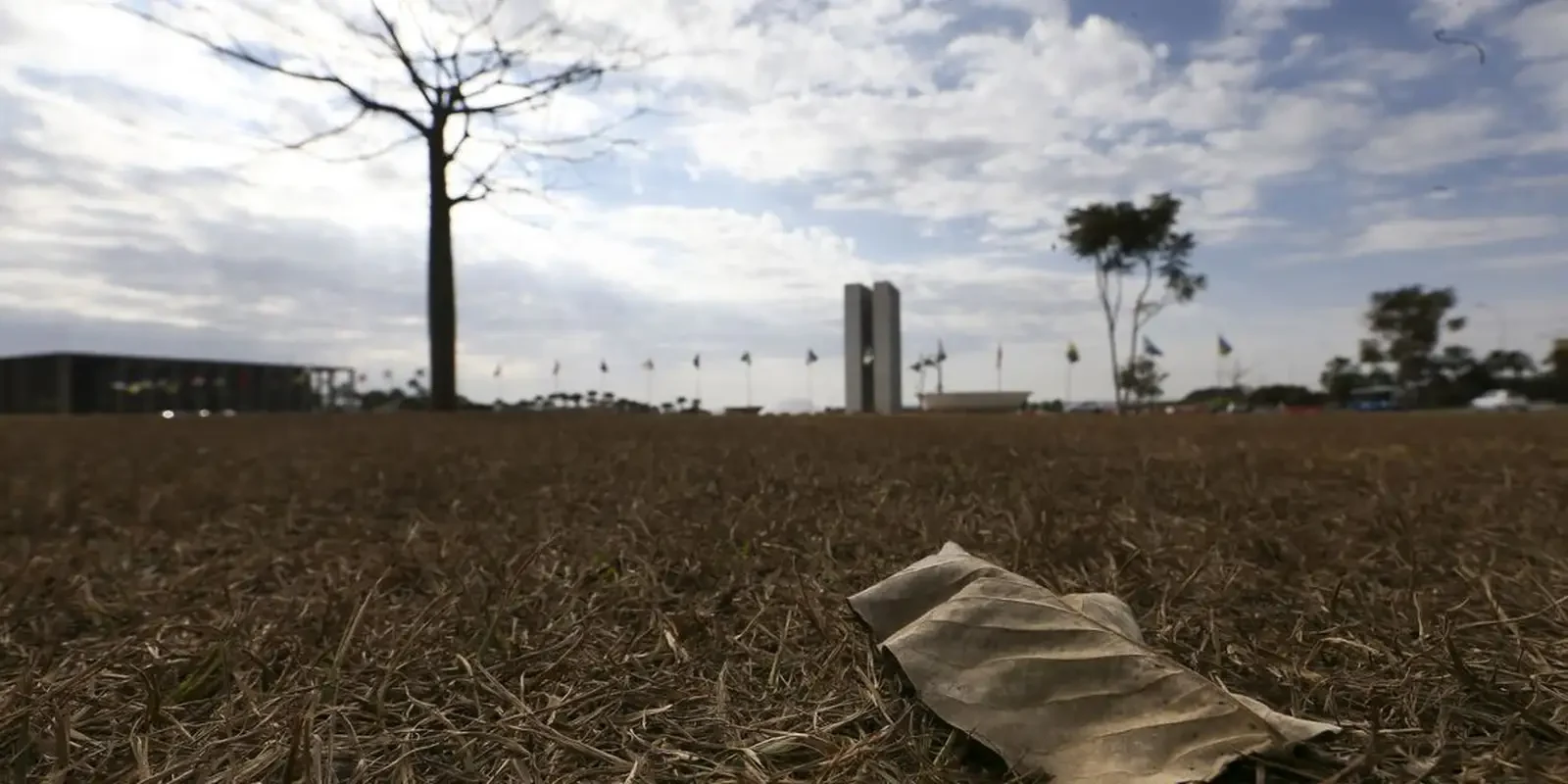 ONU: aquecimento além de 1,5°C ameaça saúde, agricultura e economia