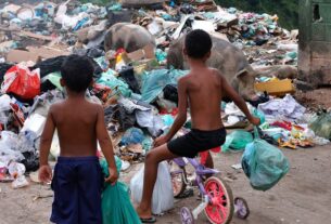 Senado aprova 'ECA Ambiental' e reconhece prioridade das crianças a um meio ambiente saudável