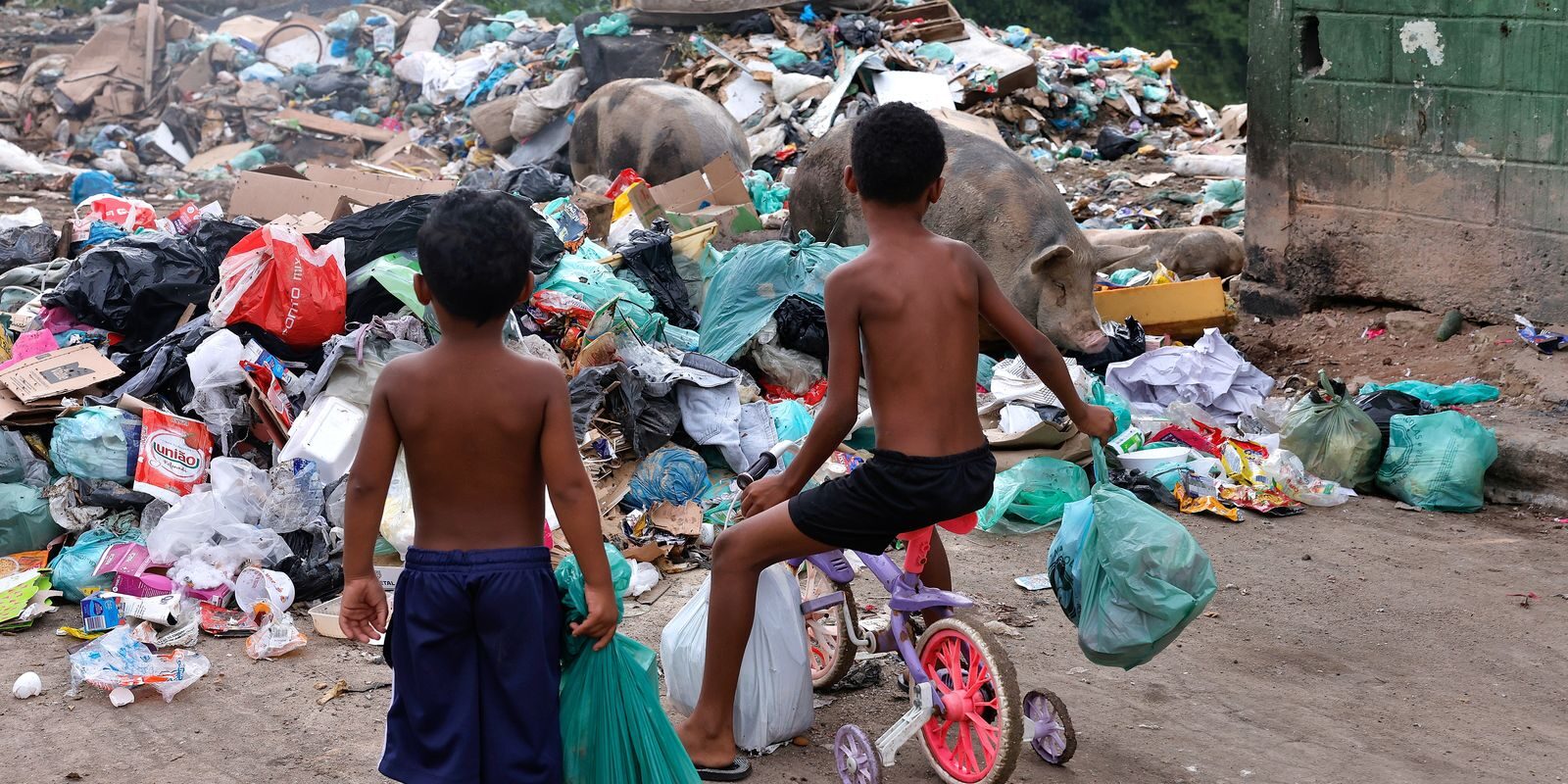 Senado aprova 'ECA Ambiental' e reconhece prioridade das crianças a um meio ambiente saudável