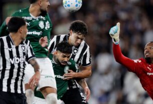 Botafogo segura Palmeiras no Nilton Santos em 0 a 0; Flamengo passa à liderança do Brasileirão