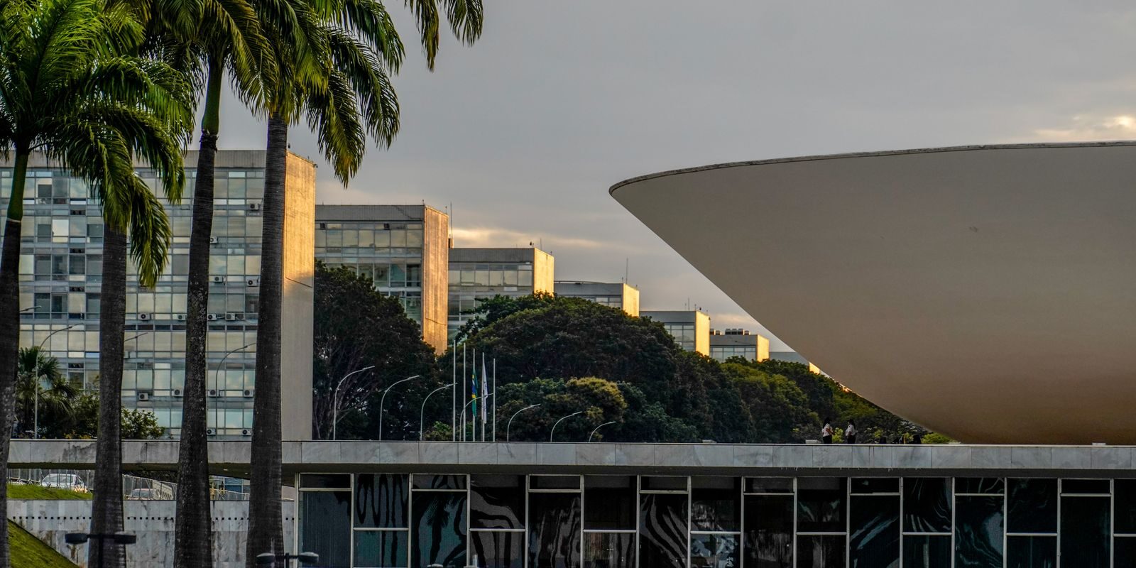 Nikolas Ferreira e Lucas Pavanato lideram votação para a Câmara com mais de 3 milhões de votos